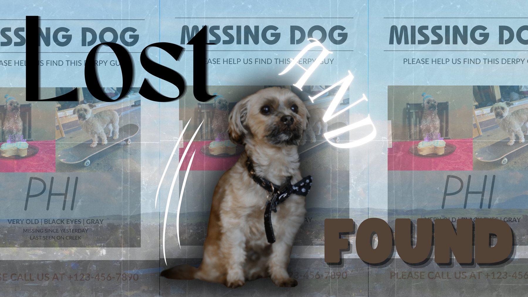 Lost and Found